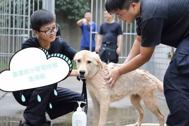 如何通过反馈分析提升篮球战术意识_2
